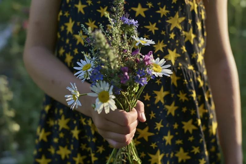 Girl holding a bouquet of daisies and wildflowers in a garden